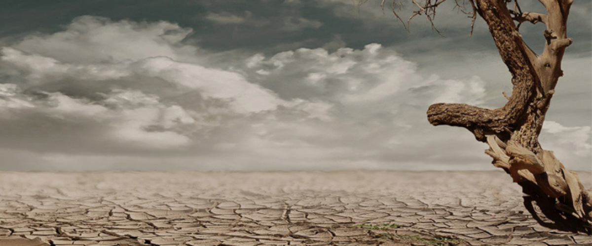 Les désastreux impacts du nettoyage à sec